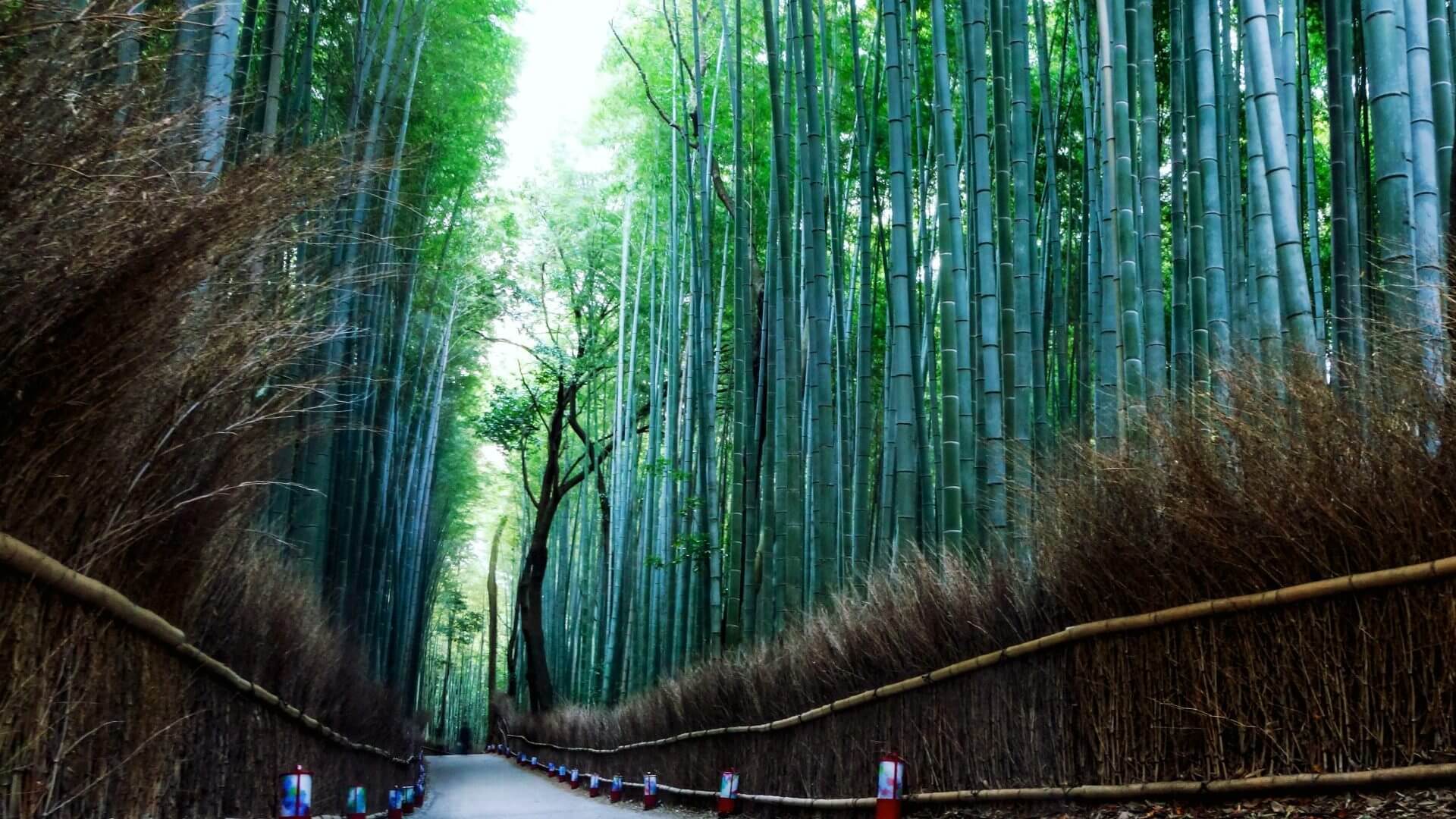 Arashiyama Kyoto
