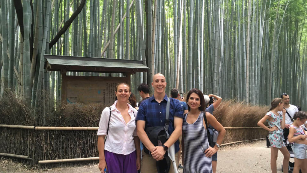 Foresta di bambù Arashiyama